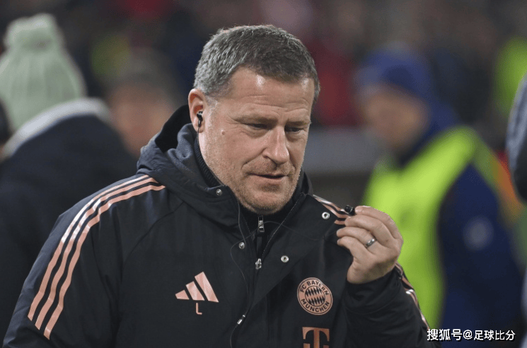 包含拜仁慕尼黑球迷抗议裁判判罚，俱乐部陷入风波的词条