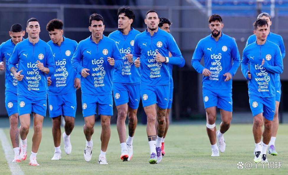 开云下载-秘鲁队风头出众,闪耀世界杯赛场的简单介绍