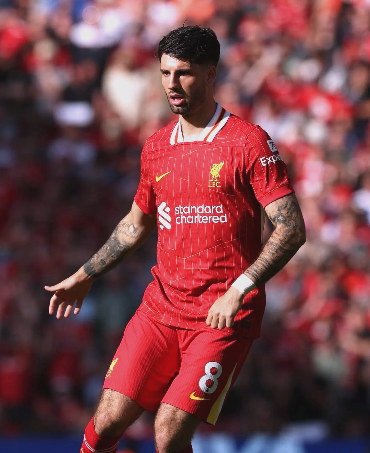 开云体育-匈牙利球队连续大胜，士气高昂