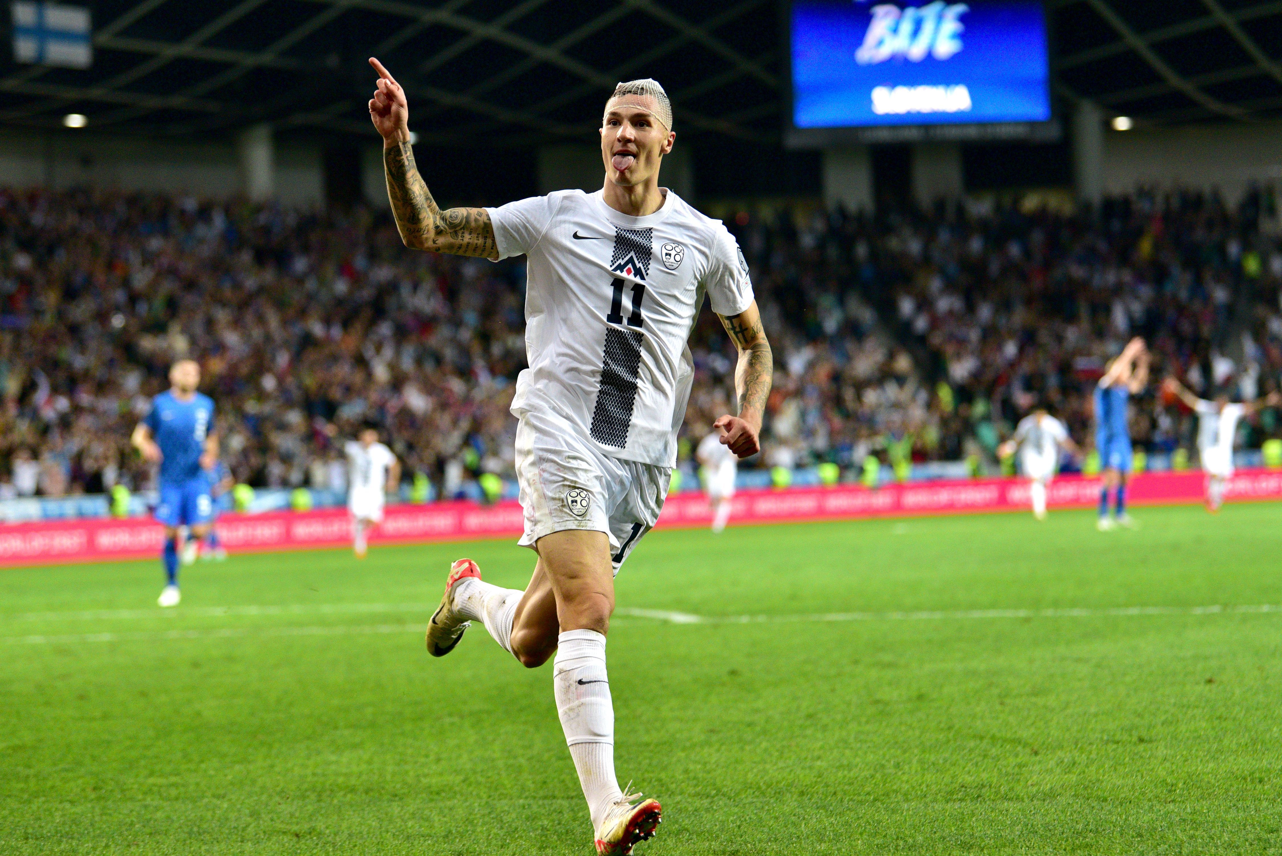 开云-欧洲杯队主教练发声，誓言带队登顶的简单介绍