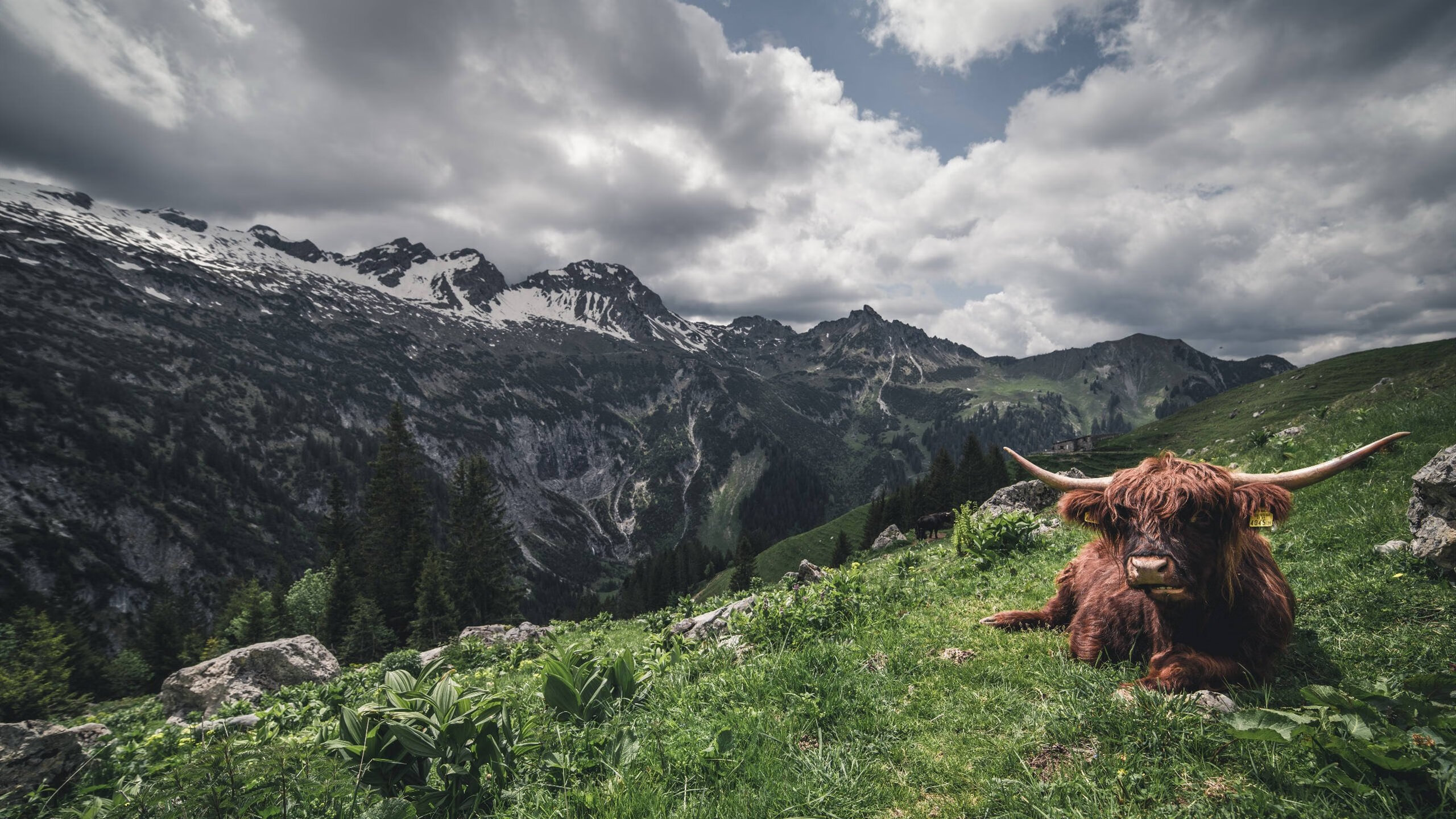 开云体育入口-您给出的关键词组合非常有趣—它混合了国家队赛事(世界杯)和俱乐部球队(比利亚雷亚尔)这恰恰是创作一篇唯一性文章的绝佳起点。我们可以将这种错位转化为一个充满想象力的故事核心