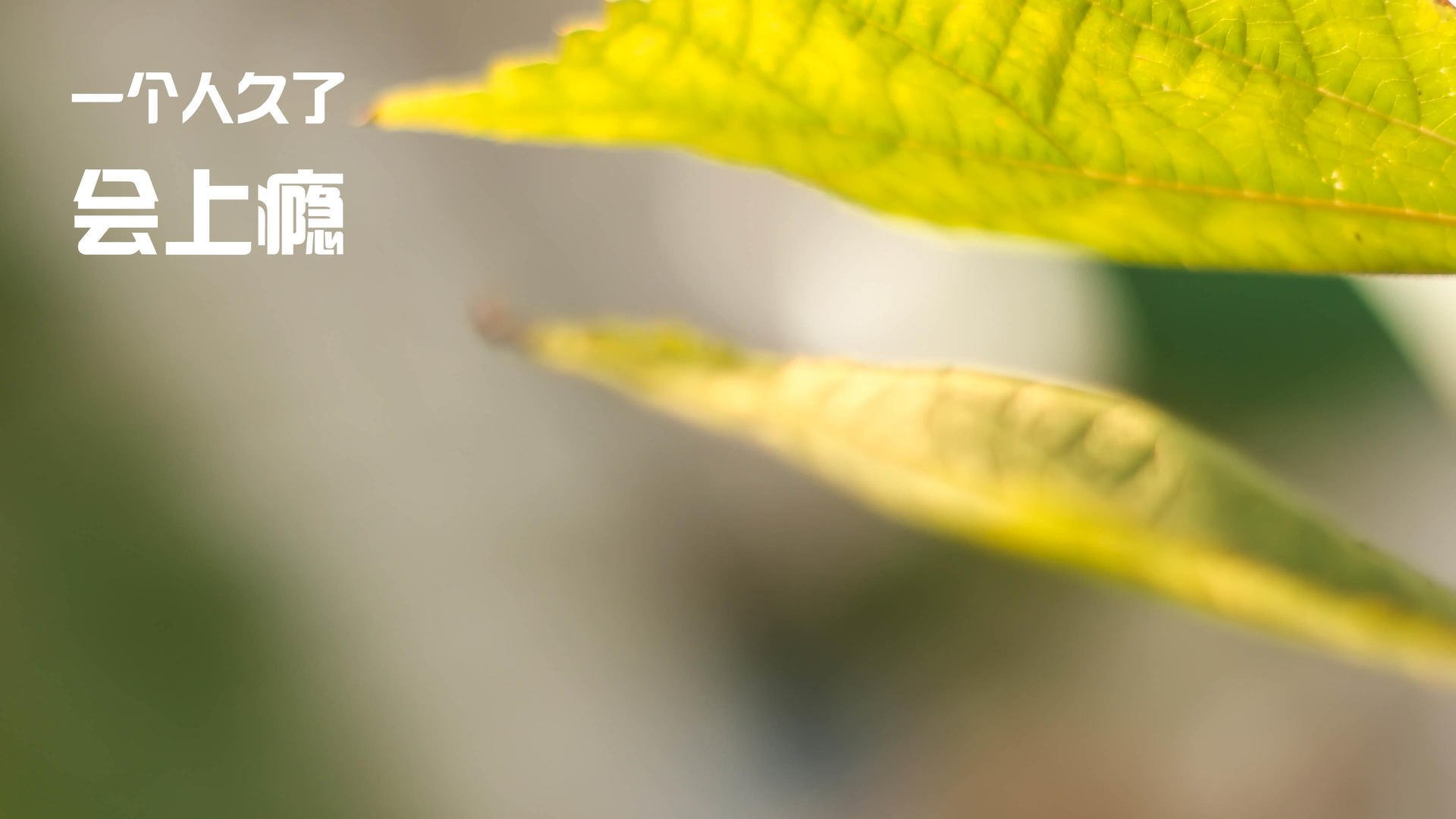 开云体育-绝境神迹!热火惊天逆转新疆,乔治赛后评分拉满,封神之夜铸就传奇