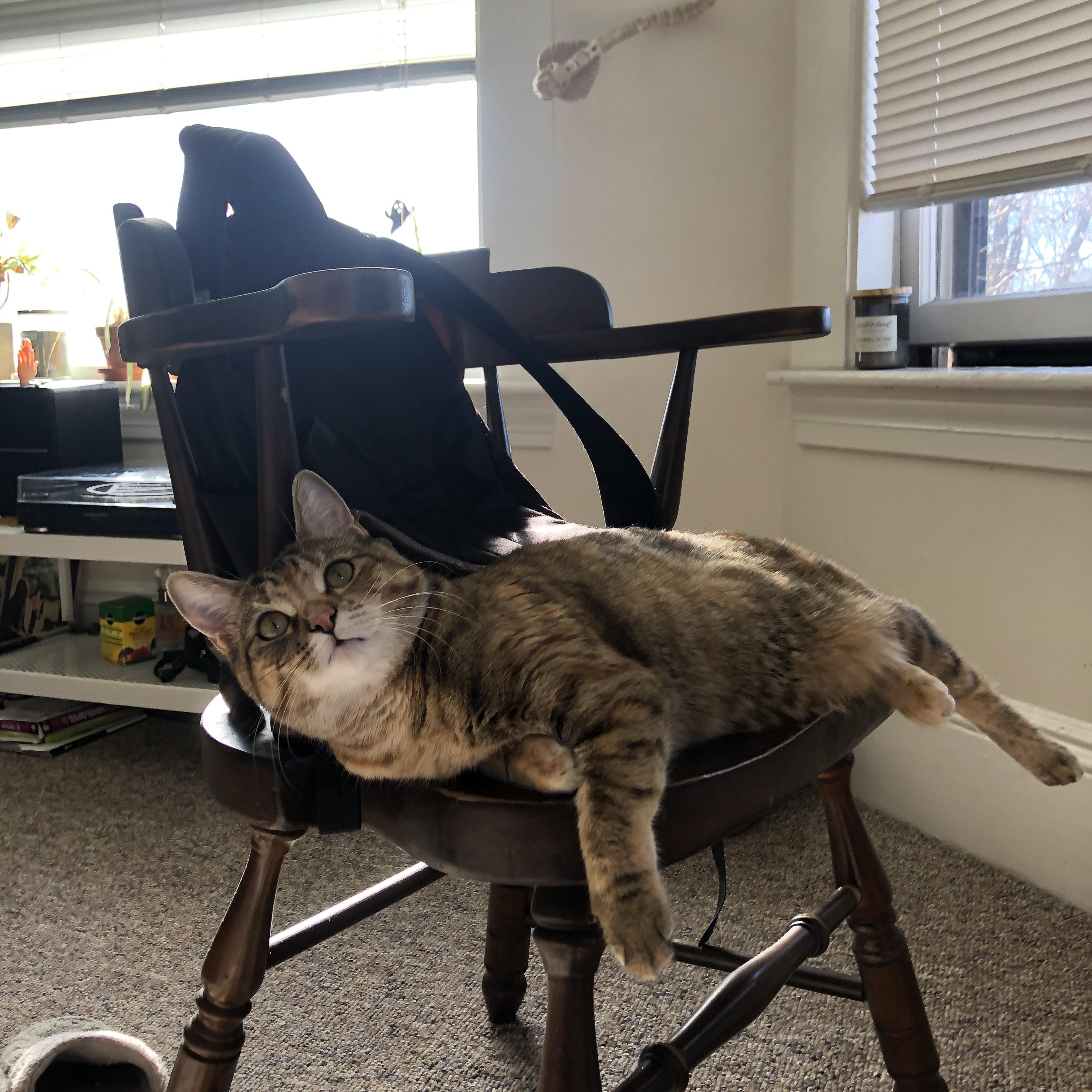 暴雨中的渔网，德里赫特如何用一场拉齐奥式爆发，绞杀了丹麦童话