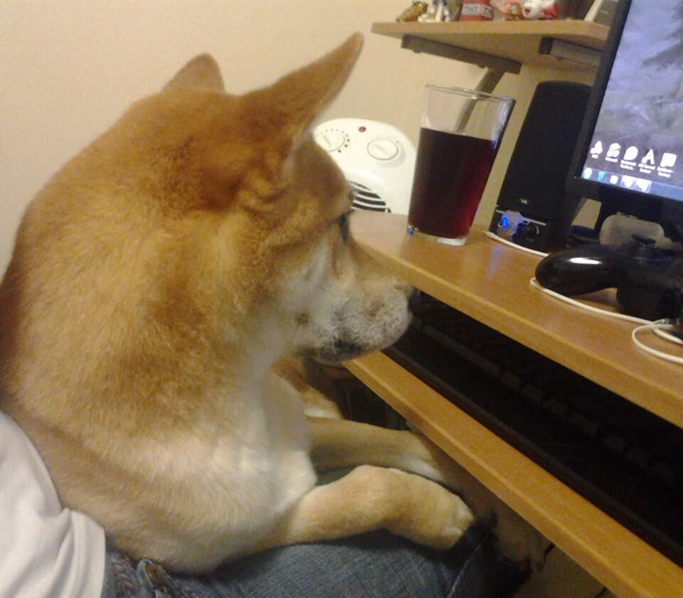 范弗利特数据核爆撕裂平行宇宙,吉林残阵黄蜂时空血战惊魂夜