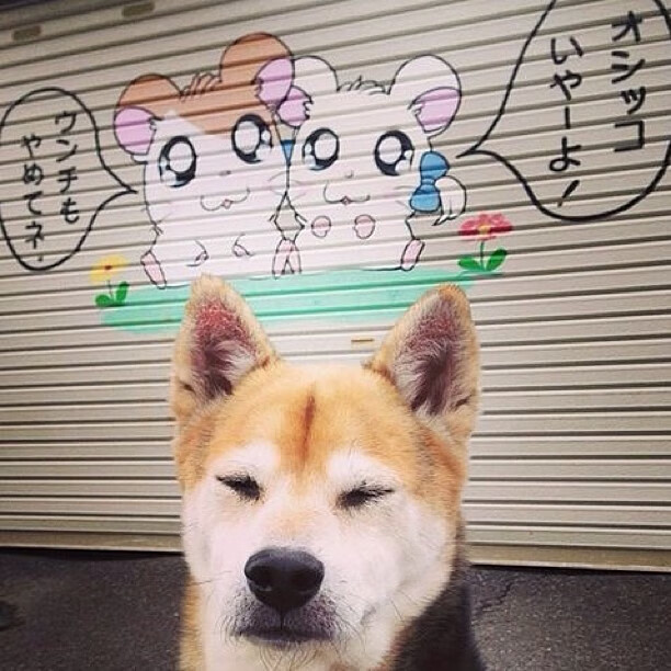 开云体育官网-铁闸与重压,斯通斯如何在对阵丹麦的比赛中完成北欧童话的终结