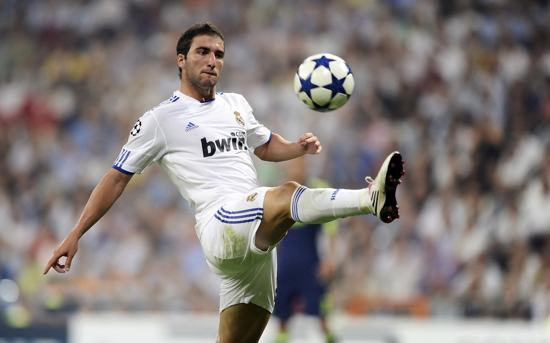 黑夜亮刃，胜者气脉—霍勒迪冷血一击，广东绝境逆袭浙江