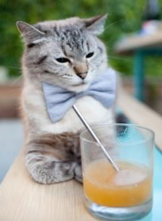 开云体育入口-地球村的新经文,孙兴慜的焰火与马拉喀什的绝杀回响