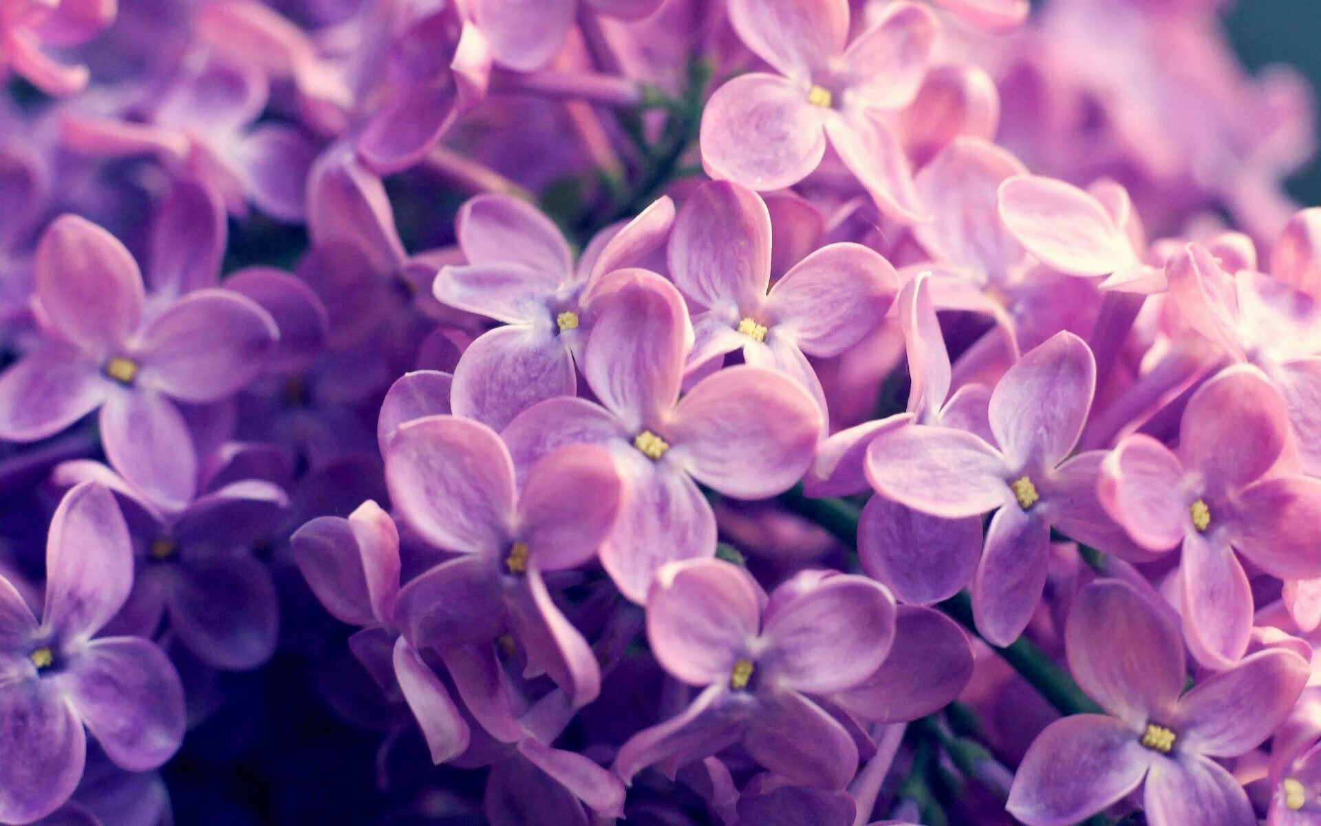 开云体育入口-绝杀之翼，伦纳德爆发撕裂防守，山西读秒击坠篮网