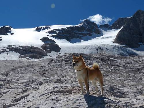 开云体育APP下载-马克西成为胜负手,鹈鹕打穿雷霆迎关键胜利