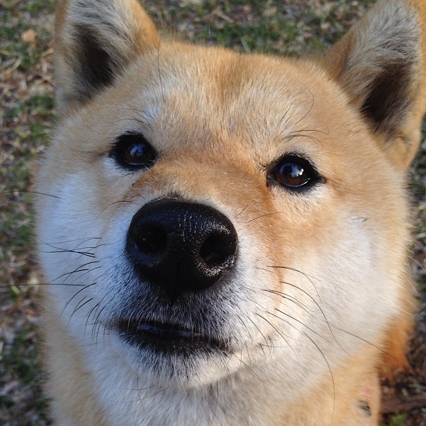 欧冠淘汰赛之夜，哈弗茨的非教科书式教科书演出