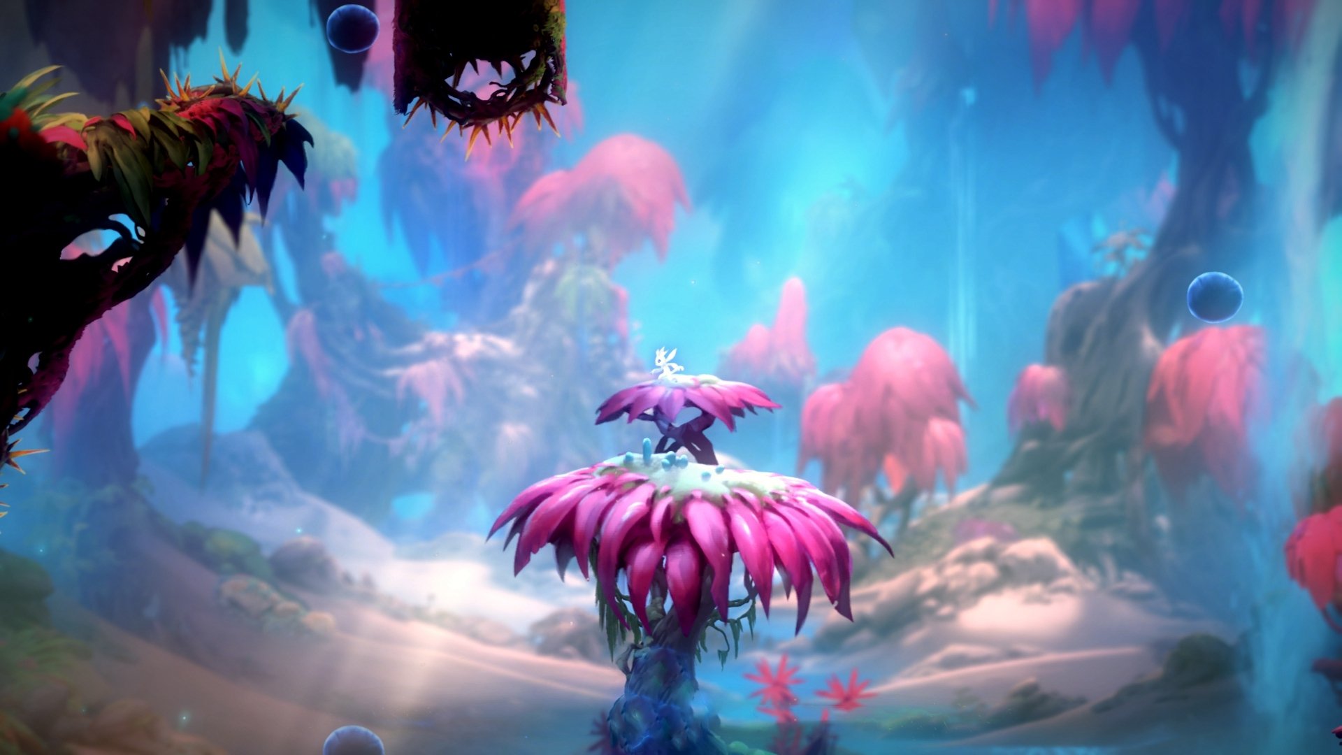 当红蓝条纹吞噬桑巴黄，奥斯梅恩在年度世纪之战的终极接管