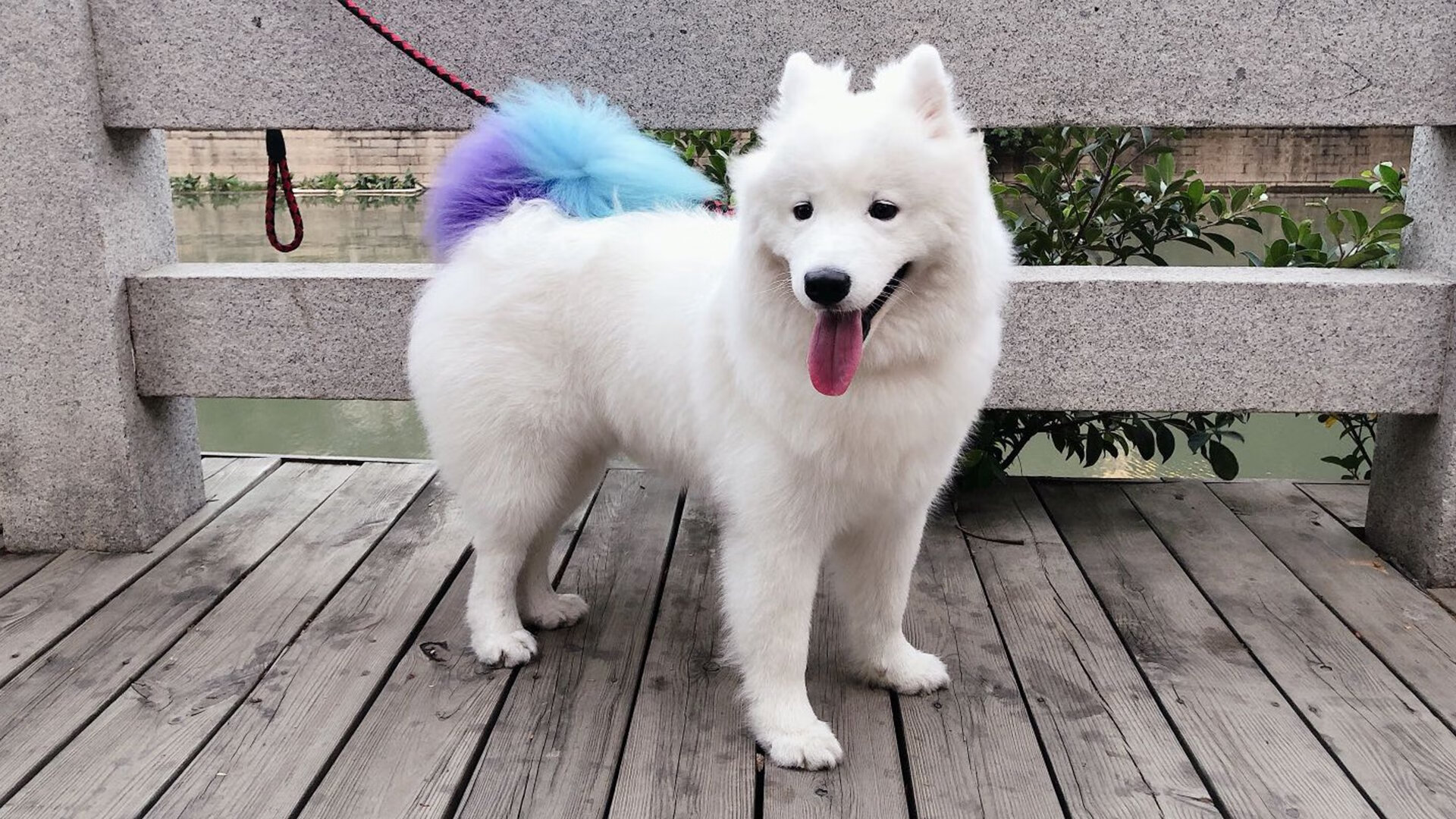 神来之笔！萨拉赫致命一击，尼日利亚一波带走挪威