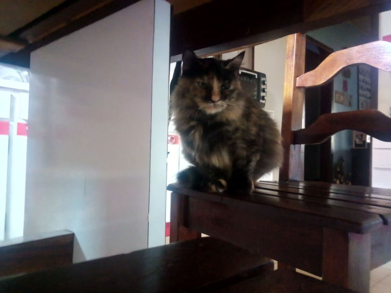 跨维度对决，当鹈鹕收割哲学遇上字母哥的接管艺术