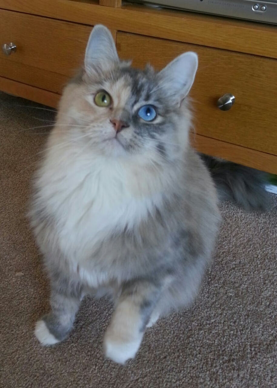 唯一时刻，拜仁与阿圭罗的决胜瞬间