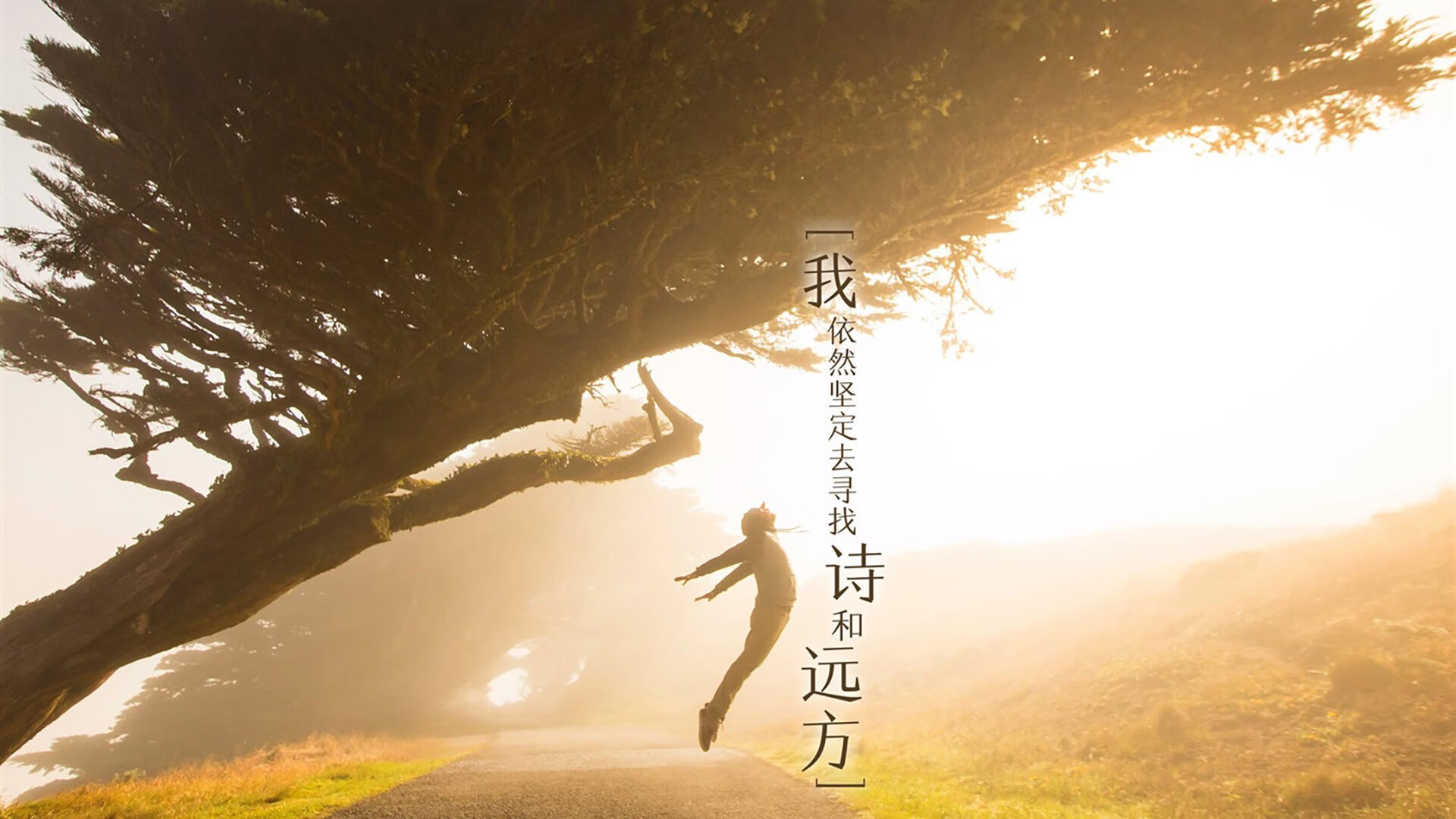 看到你提出的这两个关键词，我脑海中立刻浮现出一幅有趣的对比画面。这就像足球世界的一体两面，共同诠释着这项运动顶级的魅力