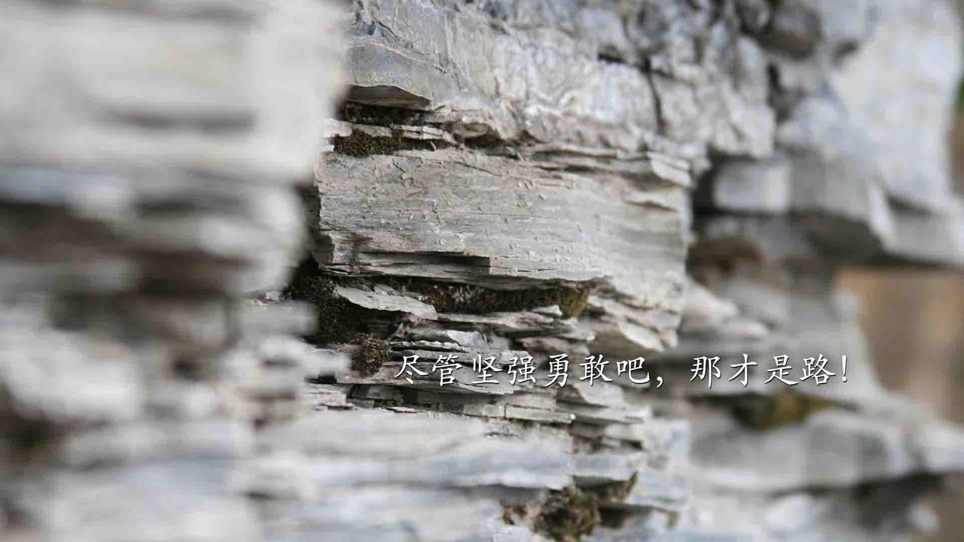 布拉格之春,当东欧铁骑踏碎桑巴舞步,2026世界杯上演最冷逆袭
