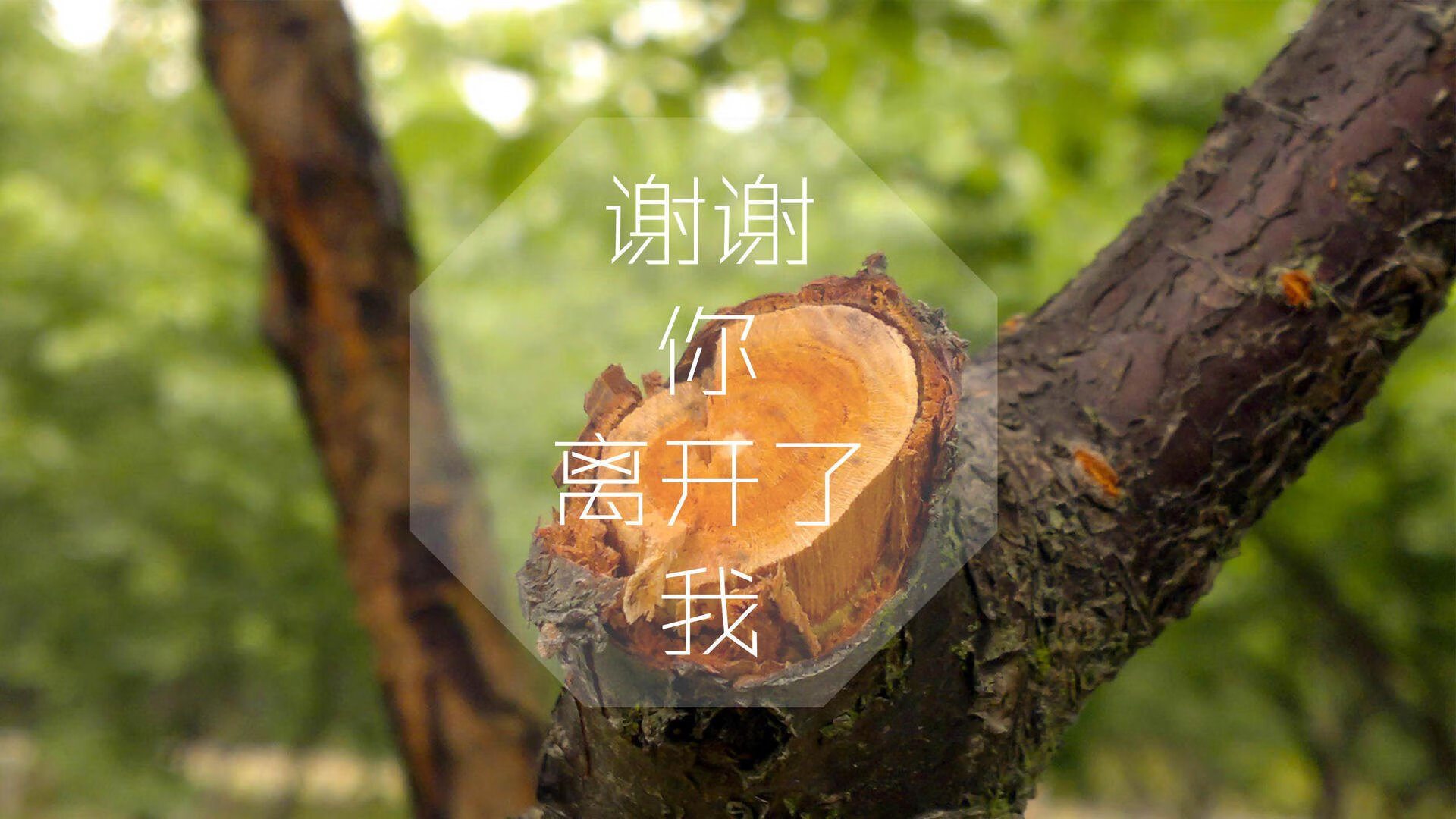 北欧风暴席卷桑巴王国，丹麦铁骑碾碎巴西，久保建英导演亚洲之光